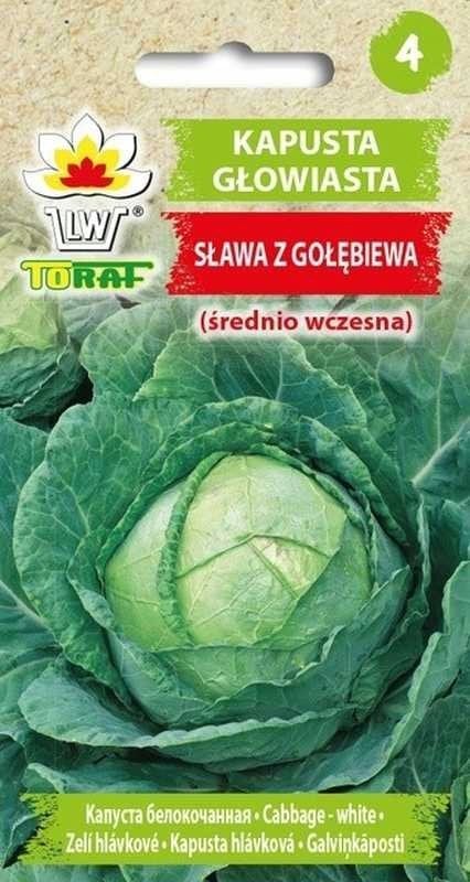 TORAF KAPUSTA GŁOW. BIAŁA SŁAWA Z GOŁĘBIEWA BRASSICA OLERACEA L. [2 G]
