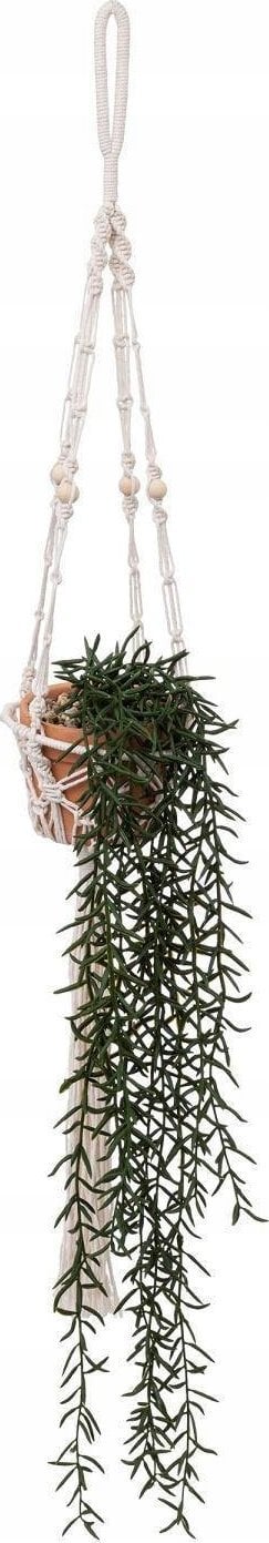 Atmosphera Sztuczne senecio Ali, 92 cm