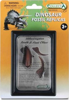 Figurka Collecta COLLECTA ZĄB I PAZUR KOŃCZYNY DOLNEJ VELOCIRAPTORA W OPAKOWANIU