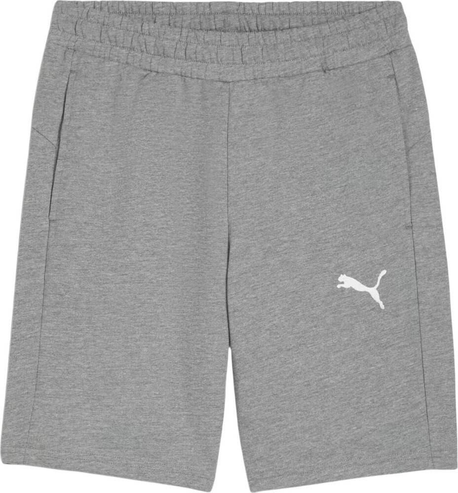 Puma Spodenki męskie Puma teamGOAL Casuals szare 658608 33 M