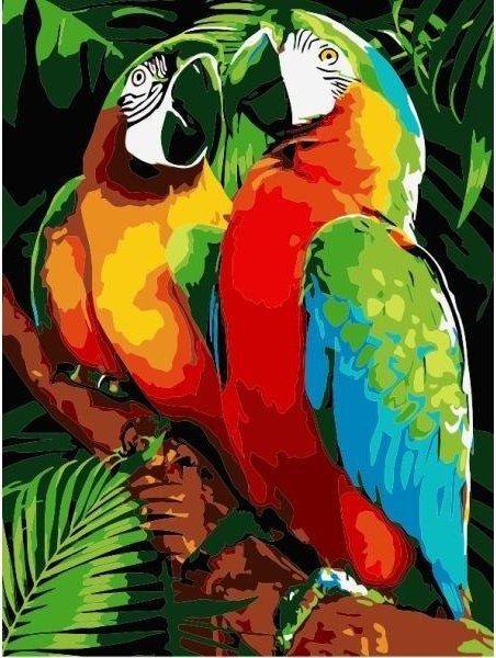 Malowanie po numerach - 30x40cm Papugi