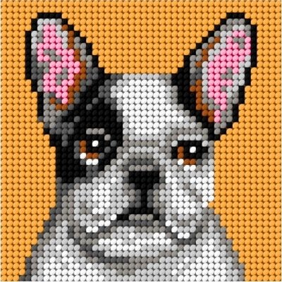 Haft. Moje pierwsze wyszywanie - Buldog