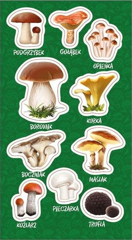 Ranok Naklejki Grzyby jadalne