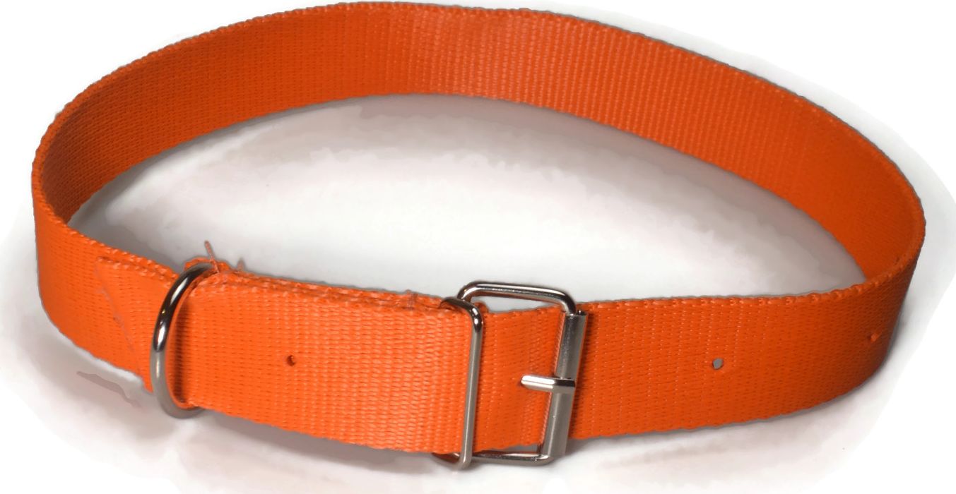 Alizoo Obroża dla dużego psa 30mm/48-67cm z metalową klamerką - ALIZOO