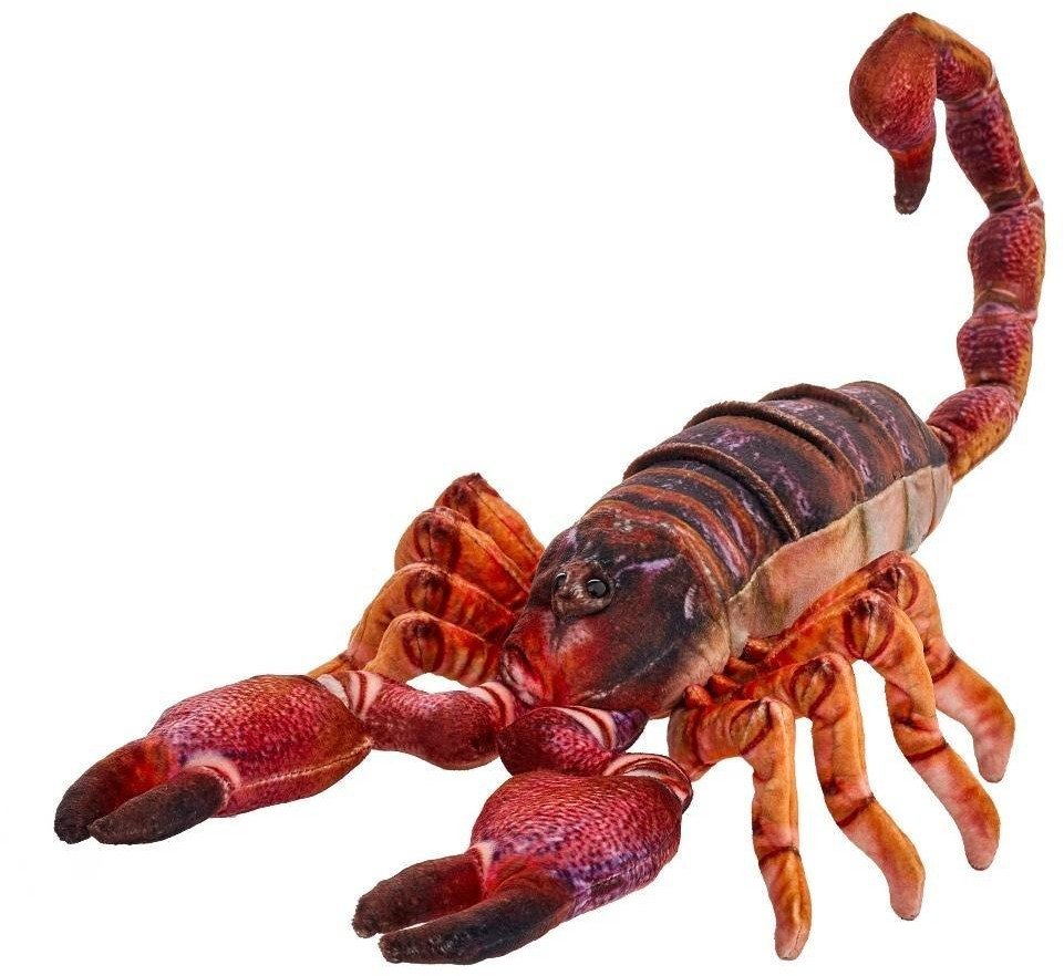 Skorpion brązowy 38cm