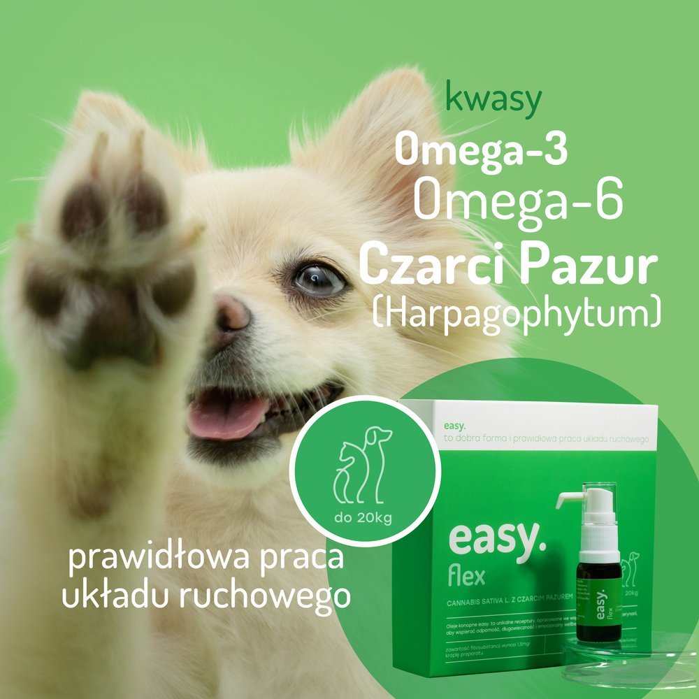 Easy. Olej konopny dla psów i kotów Flex powyżej 20kg