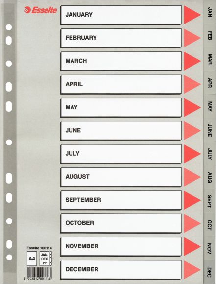 Esselte Przekładki do segregatora A4 PP szare (10K154IZ)