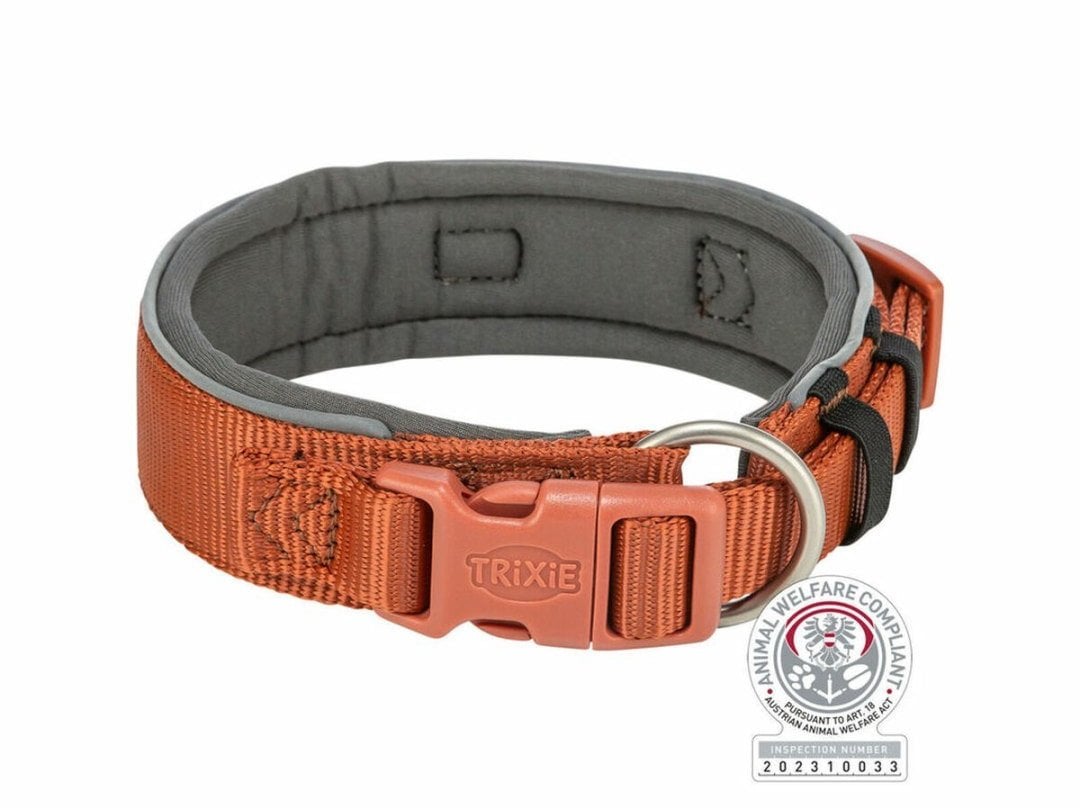 Obroża dla psa Trixie Premium Pomarańczowy Grafit M/L 40-48 cm