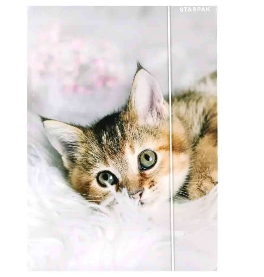 TECZKA Z GUMKA PAP A4 KOTKI STK FOL10/100