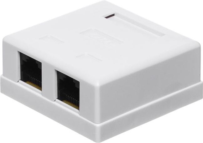 NetRack gniazdo kompletne natynkowe 2xRJ45 8p8c - (106-21)