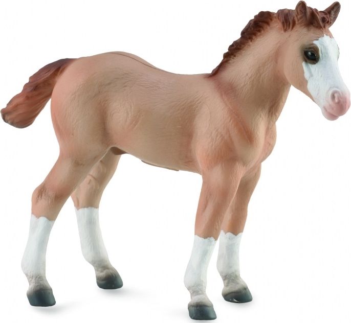 Figurka Collecta Źrebię Red Dun (004-88814)