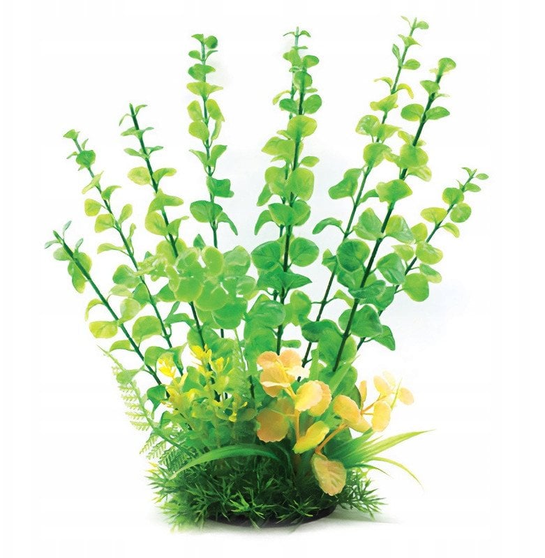 Aqua Natura, ro�lina, do dekoracji akwarium, zielona, plastikowa, 31 cm , d�ugie �odygi i drobne li�cie