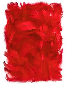 DP Craft PiĂłrka dekoracyjne 5-12 cm Red CEPI-015