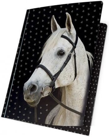 Paso Teczka z gumką A4