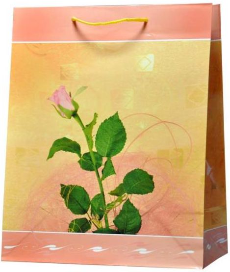 Adar Torebka ozdobna L (2636)