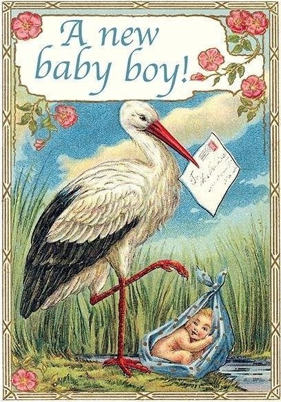Madame Treacle Karnet B6 z kopertą Narodziny Bocian Chłopiec