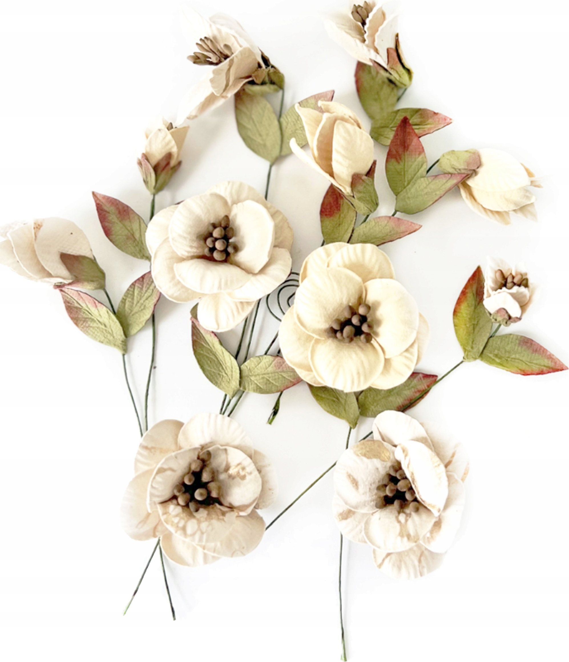 DP Craft KWIATY PAPIEROWE, 13 SZT., NEUTRAL