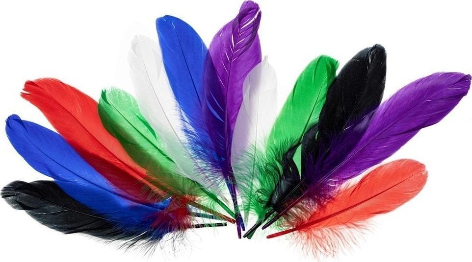 Piórka gęsie jaskrawe 15-20cm