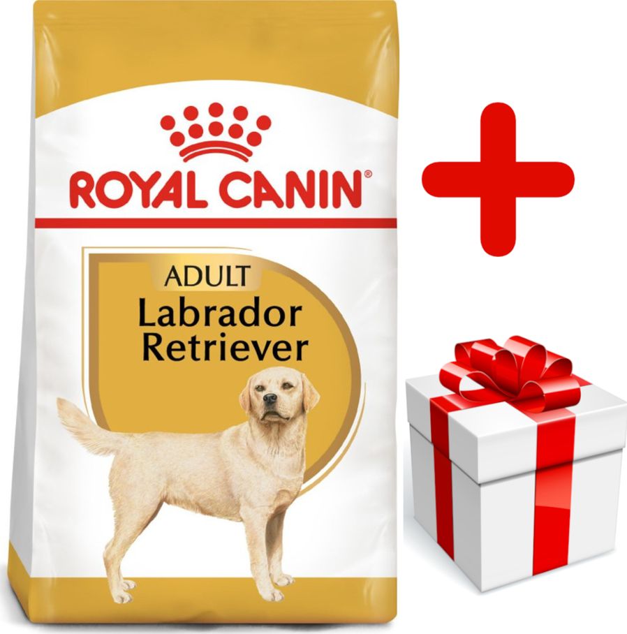Royal Canin ROYAL CANIN Labrador Retriever Adult 12kg karma sucha dla psów dorosłych rasy labrador retriever + niespodzianka dla psa GRATIS!
