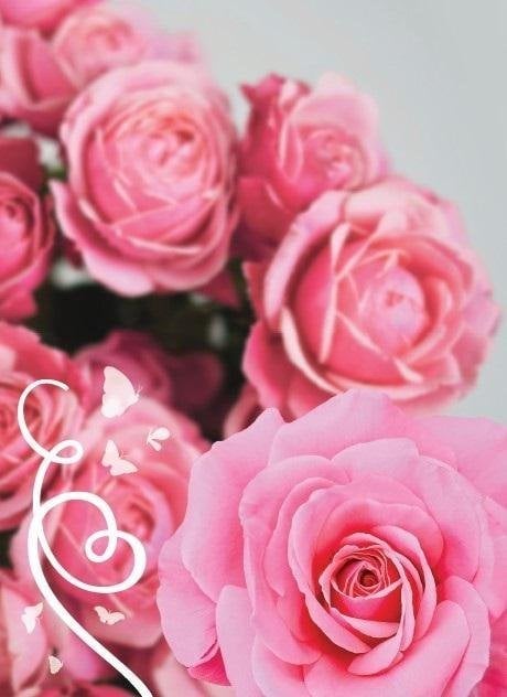 Pan Dragon Karnet B6 Uniwersalny