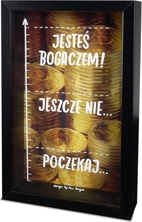 Skarbonka Home 3 - Bogacz