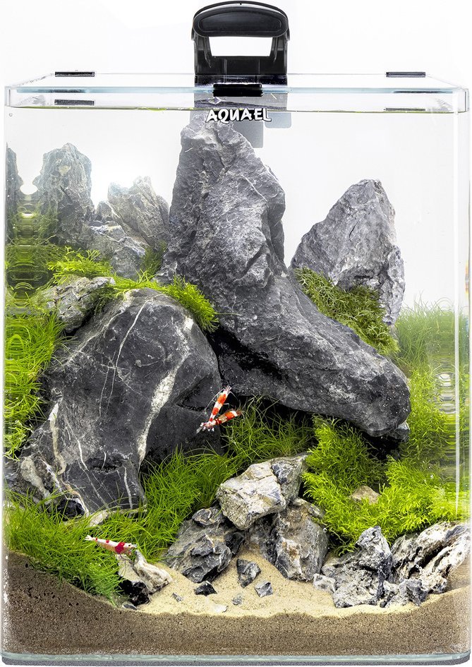 Aquael AQUAEL Zestaw Aquael Opti Bent Set Day & Night [30l] - czarny