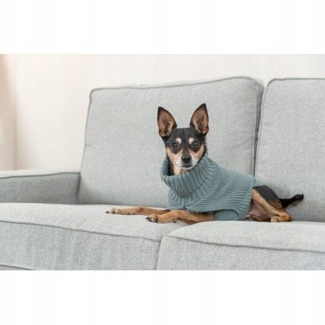 Trixie CityStyle Berlin pullover, M: 45 cm, sage
