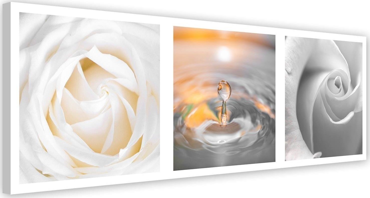 Feeby Obraz na płótnie, Płatki i kropla - 150x50