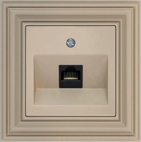 Liregus IKL-001-01.R/ONC RJ45 COMPUTER SOCKET