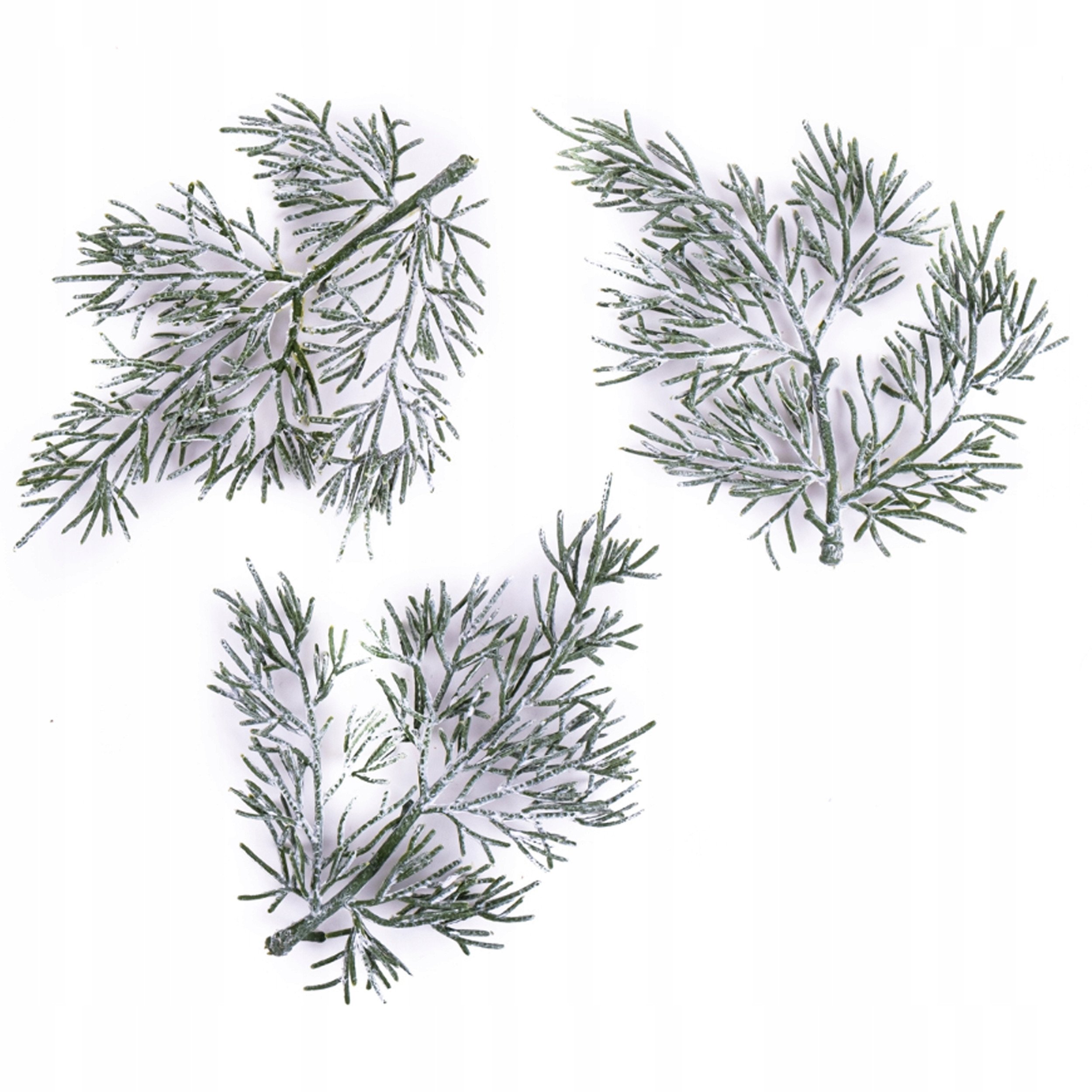 Gałązki tuji 13cm 3szt