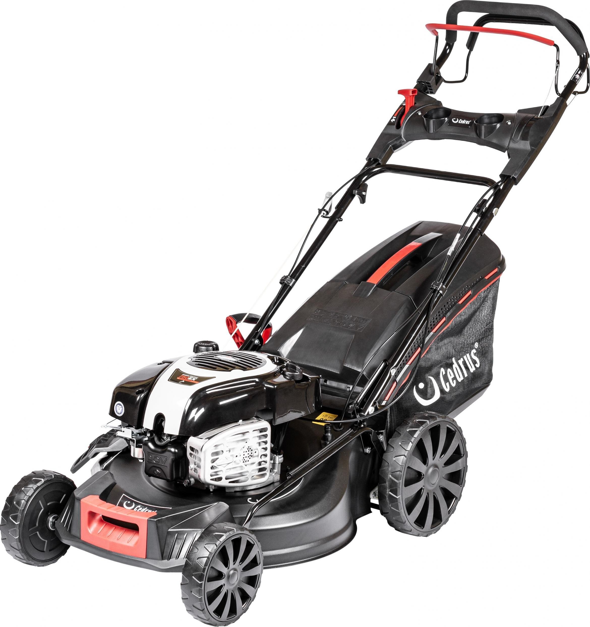 Kosiarka spalinowa Cedrus KS53S-B