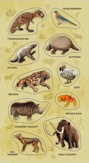 Teka Naklejki Zwierzęta wymarłe gatunki