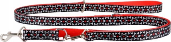 Dino DINO SMYCZ TAŚMA REG. IVO 25mm KWIAT dł. 200cm