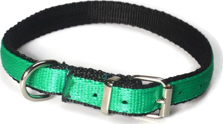 Alizoo Mocna podwójna obroża dla psa 20mm/40-48cm - ALIZOO