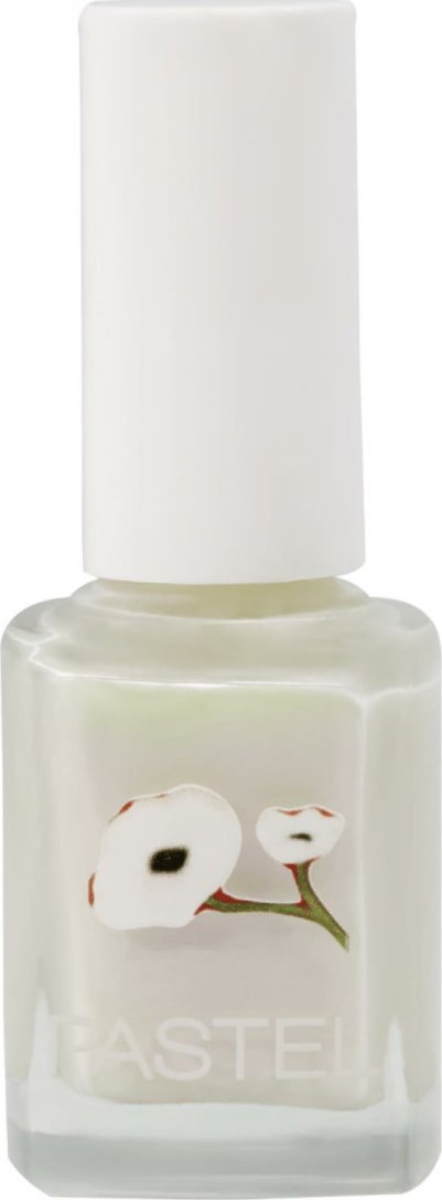 Pastel Lakier do paznokci 13ml (409)