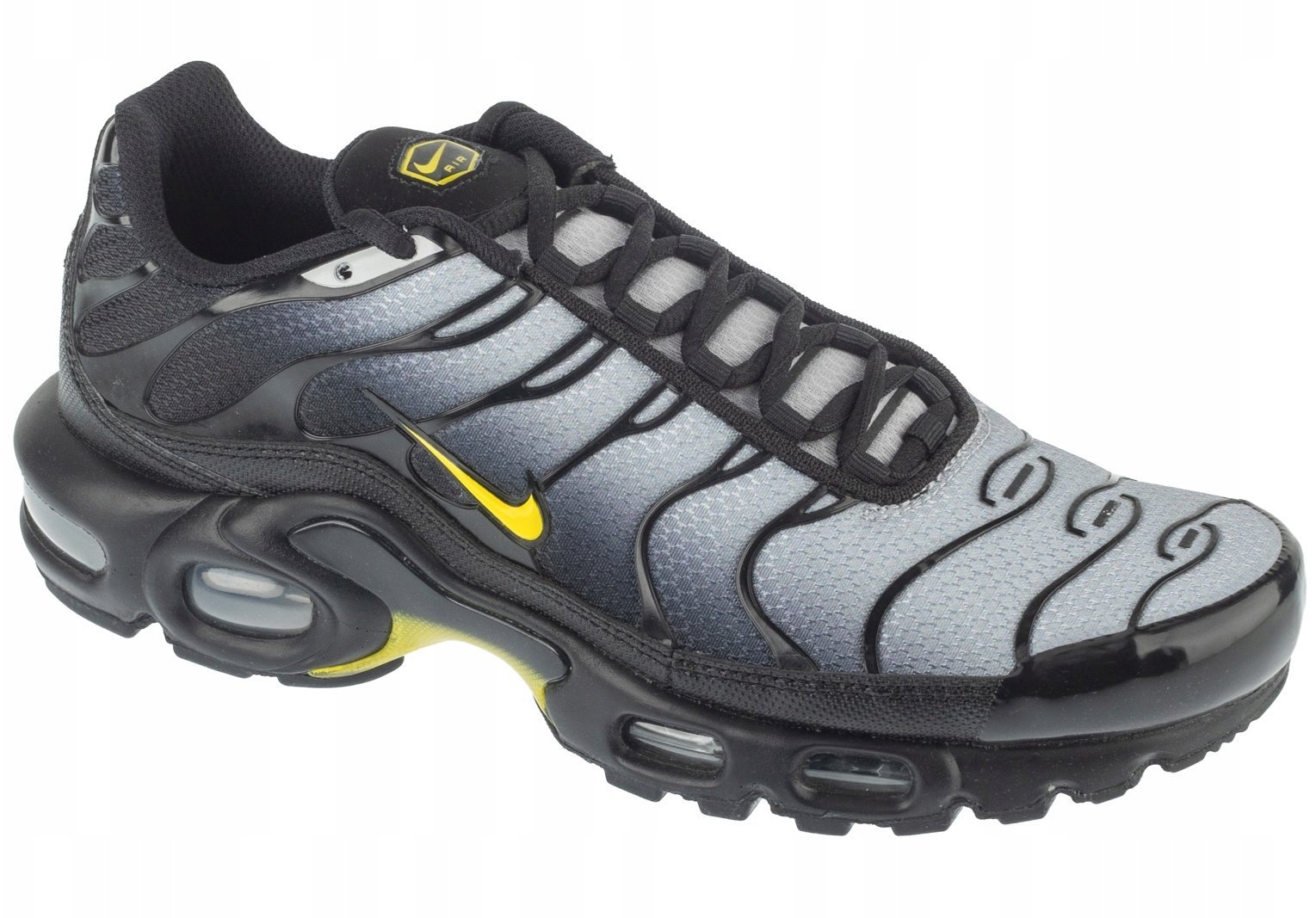 Nike Air Max Plus DM0032-012 szary 39