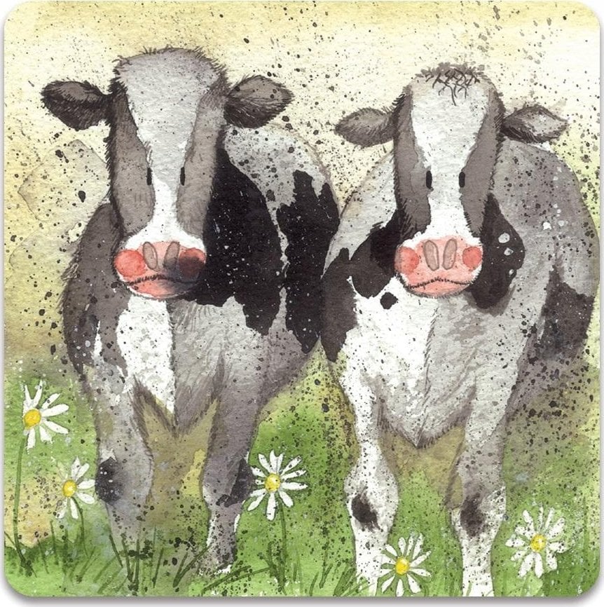Teka Magnes FM76 Ciekawskie krowy
