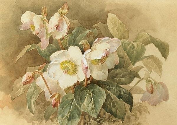 Skona Ting Karnet ST424 B6 + koperta Ciemiernik biały