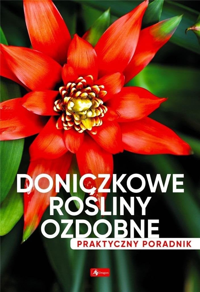 Dragon Doniczkowe rośliny ozdobne. Poradnik praktyczny