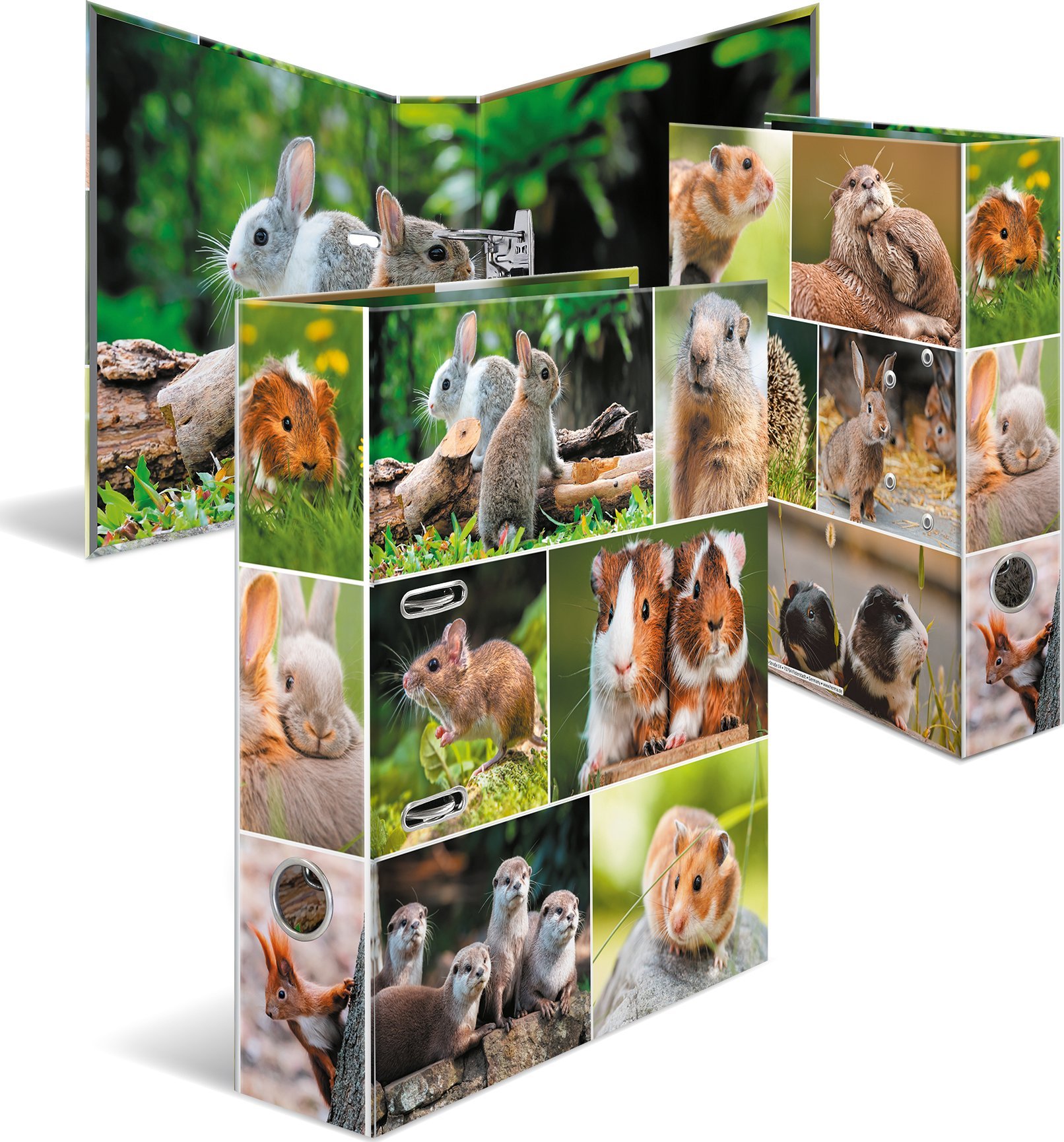 Segregator Herma Segregator A4 gryzoń