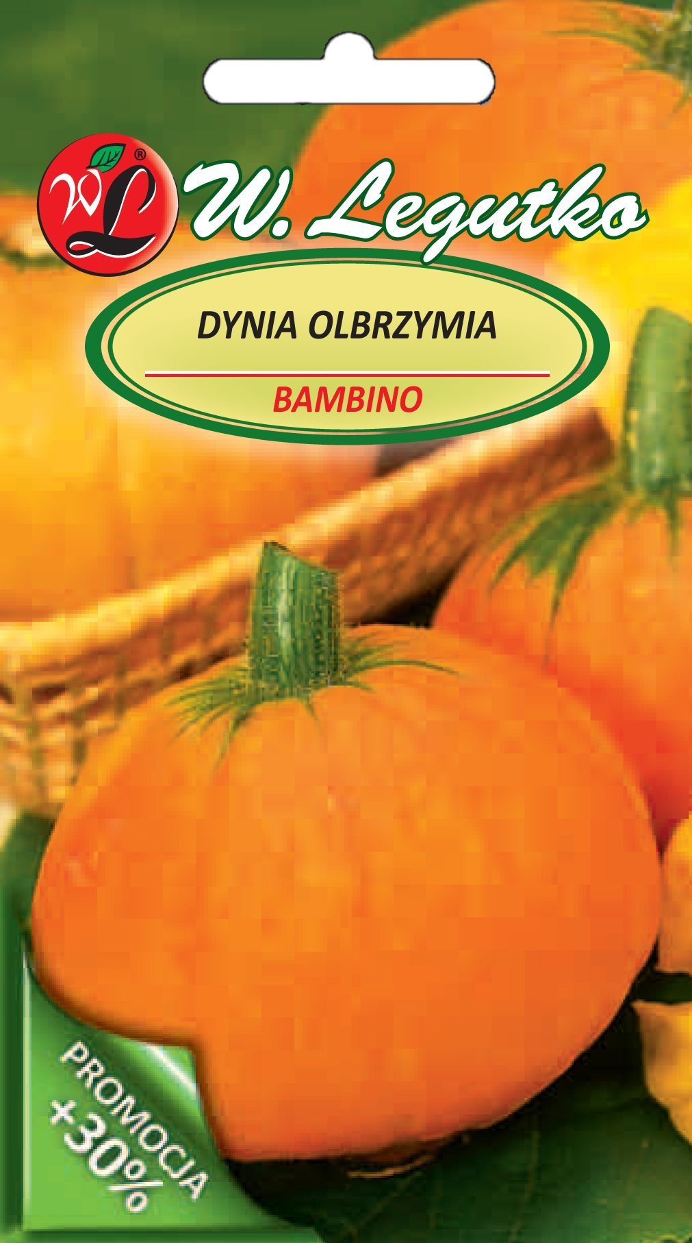 Legutko Nasiona Dynia olbrzymia Bambino, pomarańczowa, 4g
