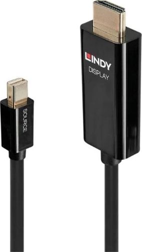 Kabel Lindy DisplayPort Mini - HDMI 0.5m czarny (40910)