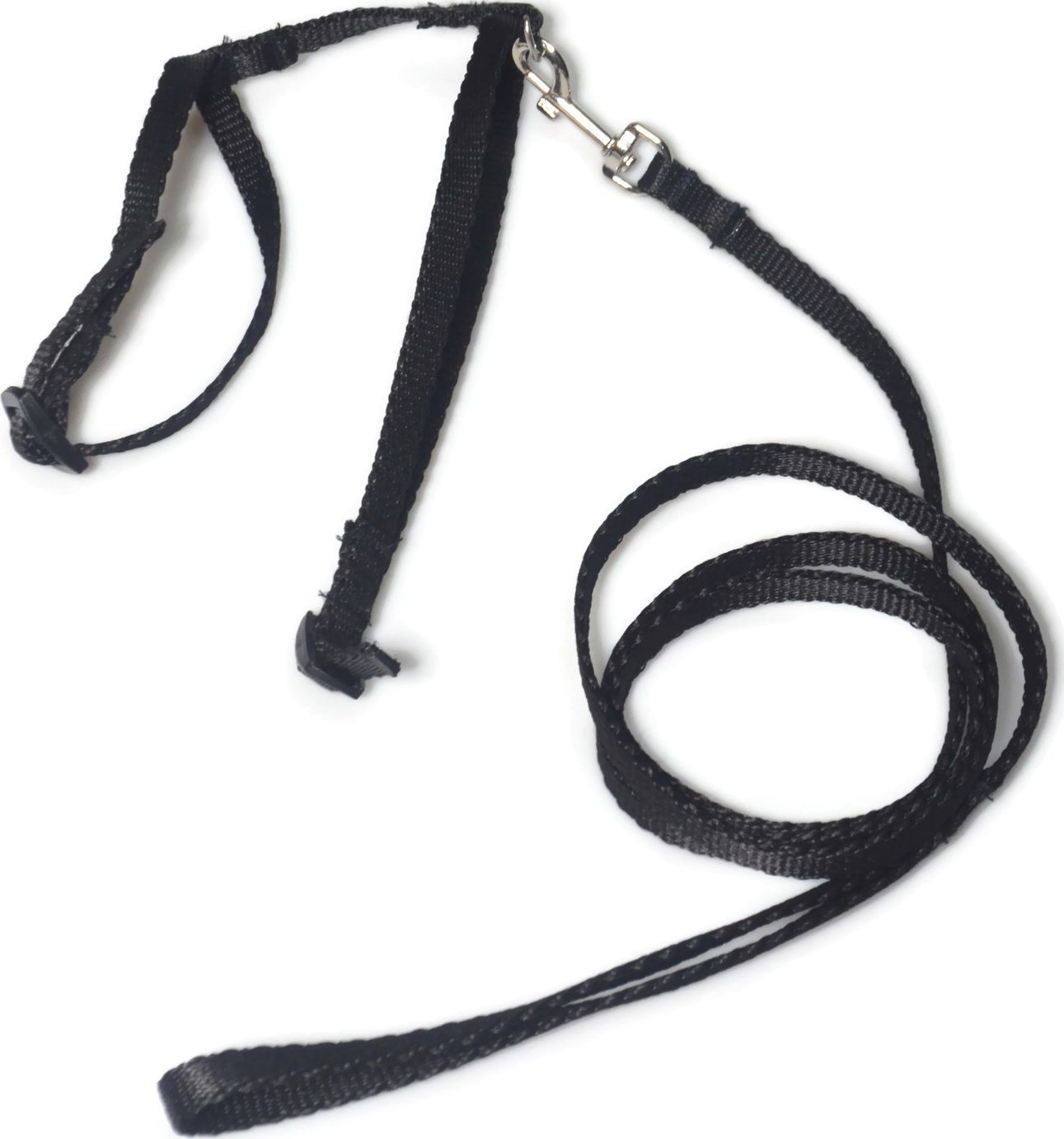 Alizoo Komplet dla kota, pasuje jak dla kociąt tak i dorosłemu. smycz szelki - ALIZOO