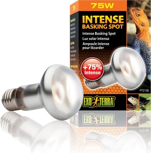 Hagen EXOTERRA ŻARÓWKA INTENSE SPOT 75W