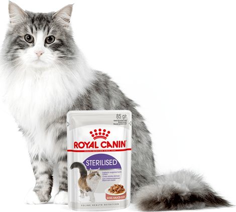 Royal Canin ROYAL CANIN Sterilised 24x85g karma mokra w sosie dla kotów dorosłych, sterylizowanych