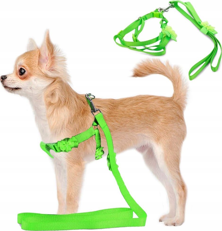 Przyjaciele SMYCZ Z SZELKAMI SZELKI DLA PSA KOTA KRÓLIKA P1,5