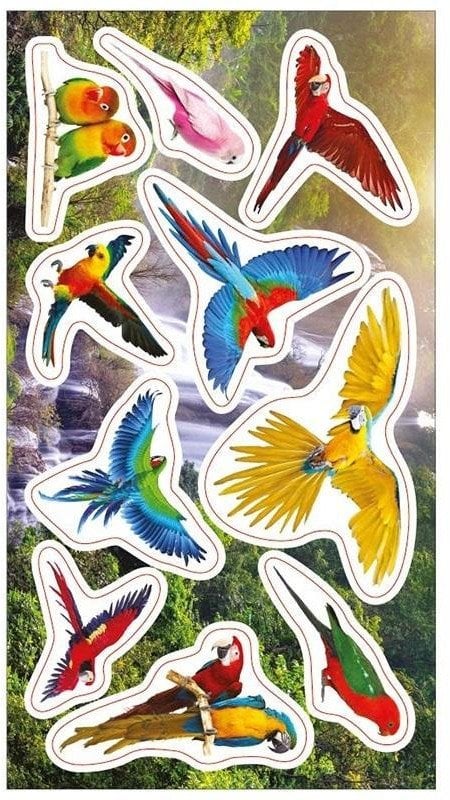 Naklejki Papugi