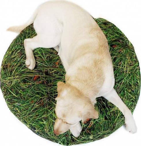 AUUU Legowisko dla Psa - PODUCHA TRAWIASTA