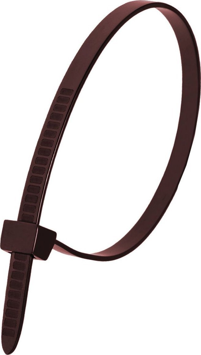 Dedra Nylonowe opaski zaciskowe brązowe 2,5x200mm (100szt.)