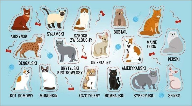 Ranok Naklejki Rasy kotów